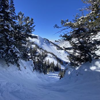 Snowbird - Ski Resorts Near Me - Snowbird, Utah Snowbird - Ski Resorts Near Me - Snowbird, Utah