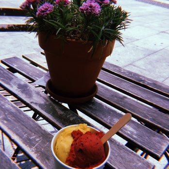 Gelataria Artesanal Mo-Mo - Gelato Near Me - Porto, 13 Gelataria Artesanal Mo-Mo - Gelato Near Me - Porto, 13