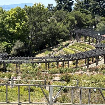 The Berkeley Rose Garden - Botanical Gardens Near Me - Berkeley, California