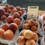 Photo of Farm Shed Dinners