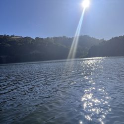 Lake Chabot Marina & Café