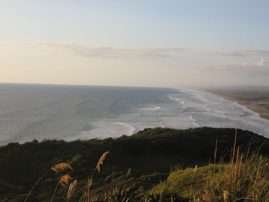 Muriwai by null