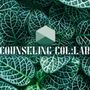 Photo of Counseling Collab