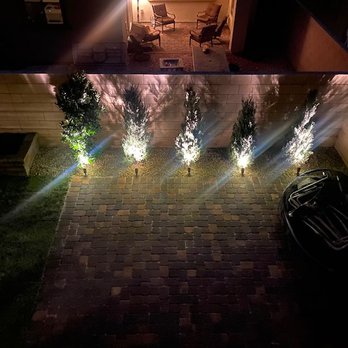 Advantage Landscape - Trees Night - Landscaping Near Me - Las Vegas, Nevada
