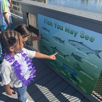Manatee Viewing Center - Zoos Near Me - Apollo Beach, Florida