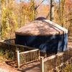 Teapot Lane Glamping