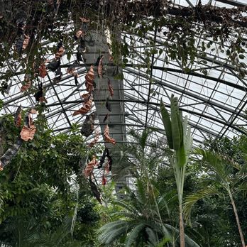 Krohn Conservatory - Botanical Gardens Near Me - Cincinnati, Ohio Krohn Conservatory - Botanical Gardens Near Me - Cincinnati, Ohio