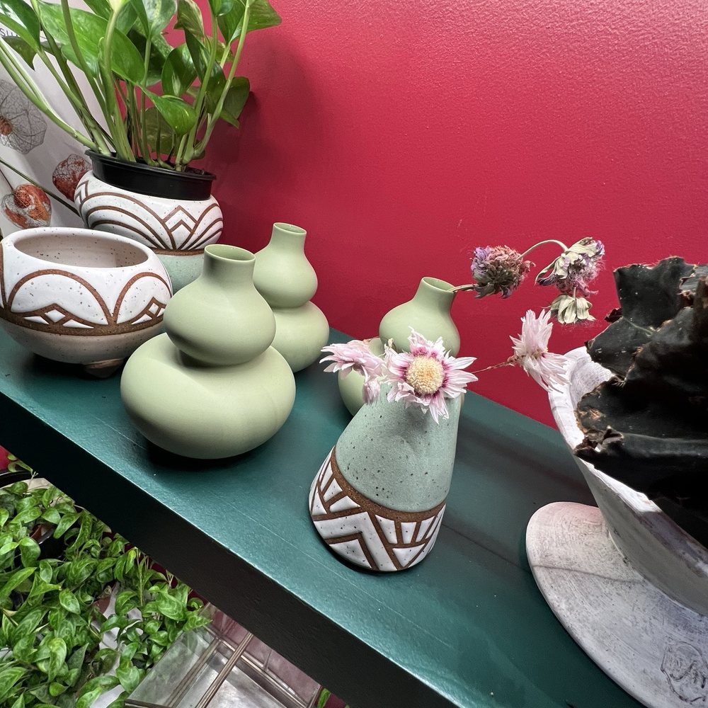 PLNTR - Floral Designers Near Me - Arlington, Virginia