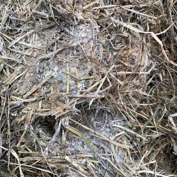 Quality Hay Sales of Florida - Livestock Feed & Supply Near Me - Williston, Florida