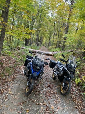 Mount Greylock State Reservation by null