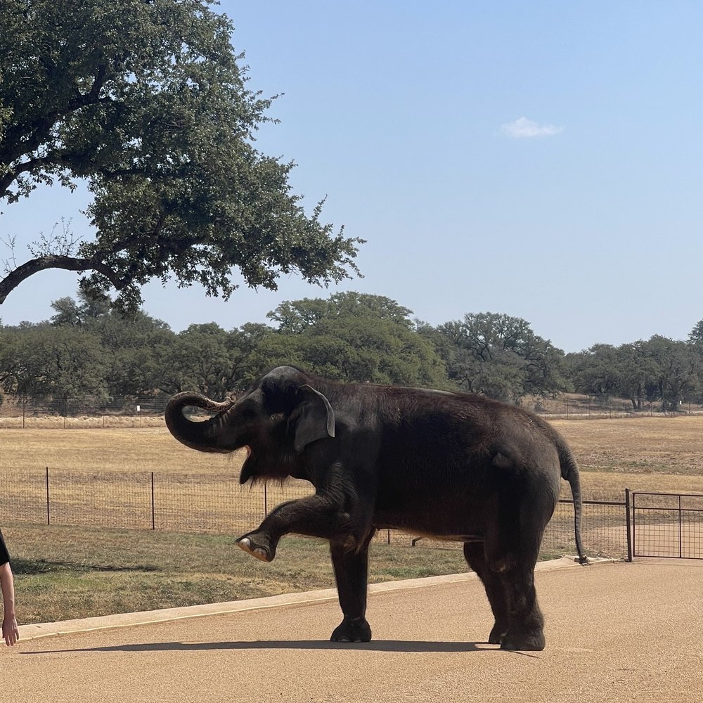 The Preserve - Zoos Near Me - Fredericksburg, Texas
