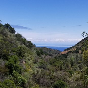 Catalina Island - View from botanical garden - Local Flavor Near Me Catalina Island - View from botanical garden - Local Flavor Near Me
