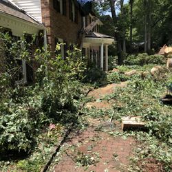 Hartsell Tree Service