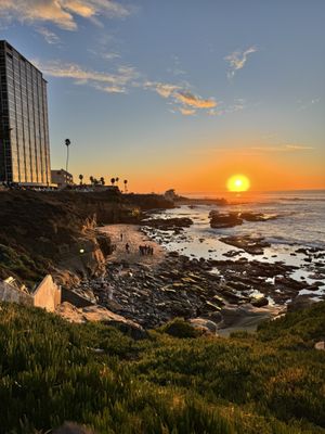 Lifeguard La Jolla Cove by null
