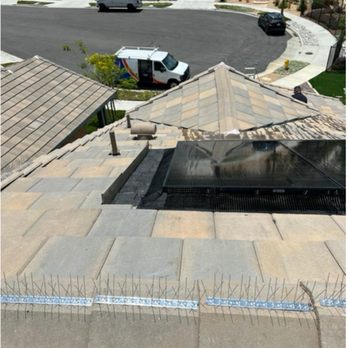 Radiance Solar Maintenance - Solar Panel Cleaning Near Me Radiance Solar Maintenance - Solar Panel Cleaning Near Me