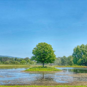 Henway Hard Cider - View - Cideries Near Me - Bluemont, Virginia