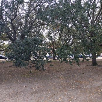 Cannon Park - Cannon Park - Parks Near Me - Charleston, South Carolina