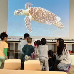 Little School Childcare by Klassik Arts