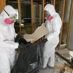 SERVPRO of Lakeland - Mold Removal Lakeland
