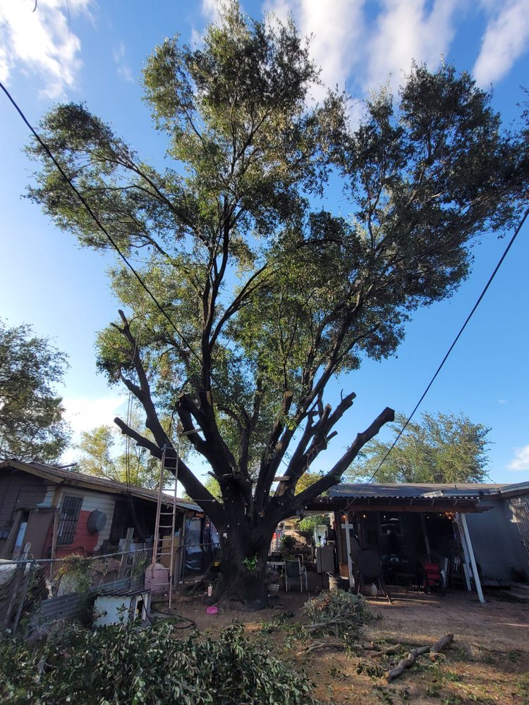 Slide of Trinidad Services