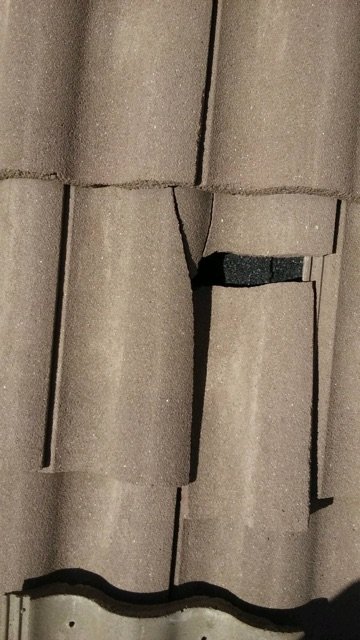 Slide of Dolphin Roofing