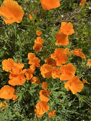 Leo Carrillo State Park by null