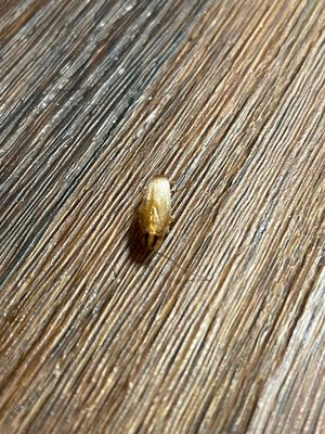 The Yards at Union Station by null