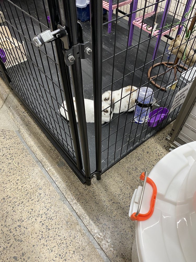 RUNNINGS Updated August 2024 77 Photos 4828 Lake Rd S, Brockport