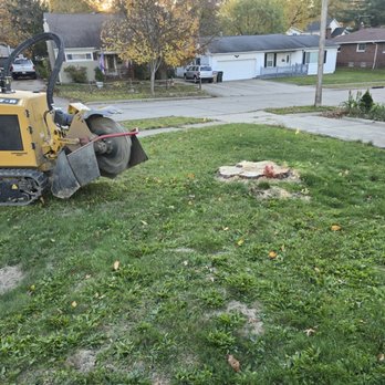 J&M Stump Grinding - Tree Services Near Me - Rittman, Ohio J&M Stump Grinding - Tree Services Near Me - Rittman, Ohio