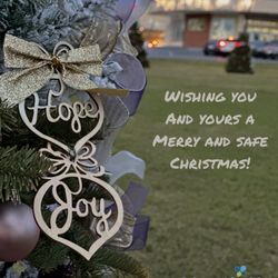 AdventHealth Zephyrhills - Enjoyed the different Christmas trees decorated by the sponsors around the yard. So creative