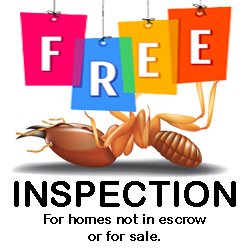 Termite Biz on Yelp