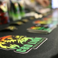 Soul and Wellness - CBD Lion Product Display