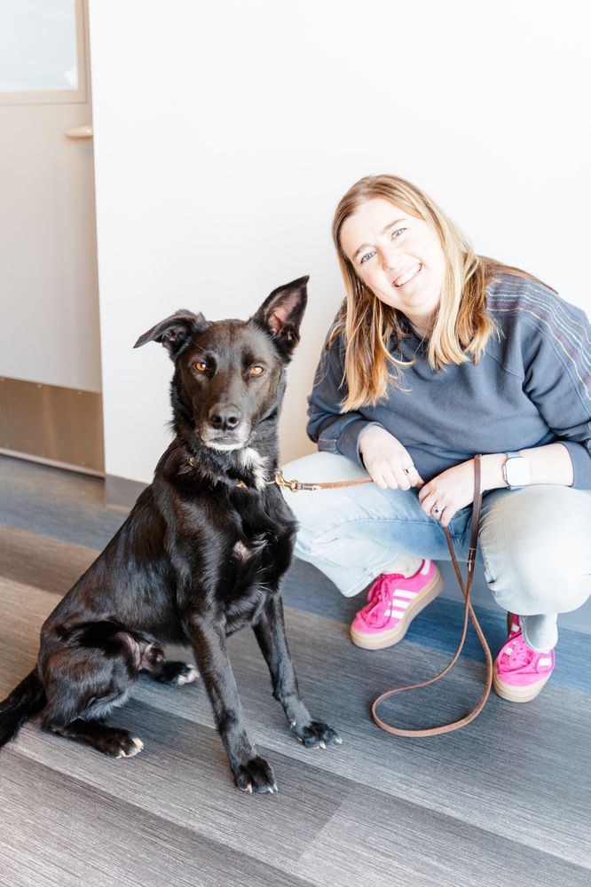 PET’S FAVORITE VET Updated September 2024 411 Bellport Dr, Boiling Springs, South Carolina