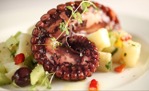 Vinum Trattoria Toscana by null