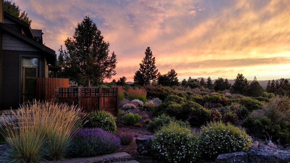 LANDSYSTEMS NURSERY Updated September 2024 21 Reviews 21336 E