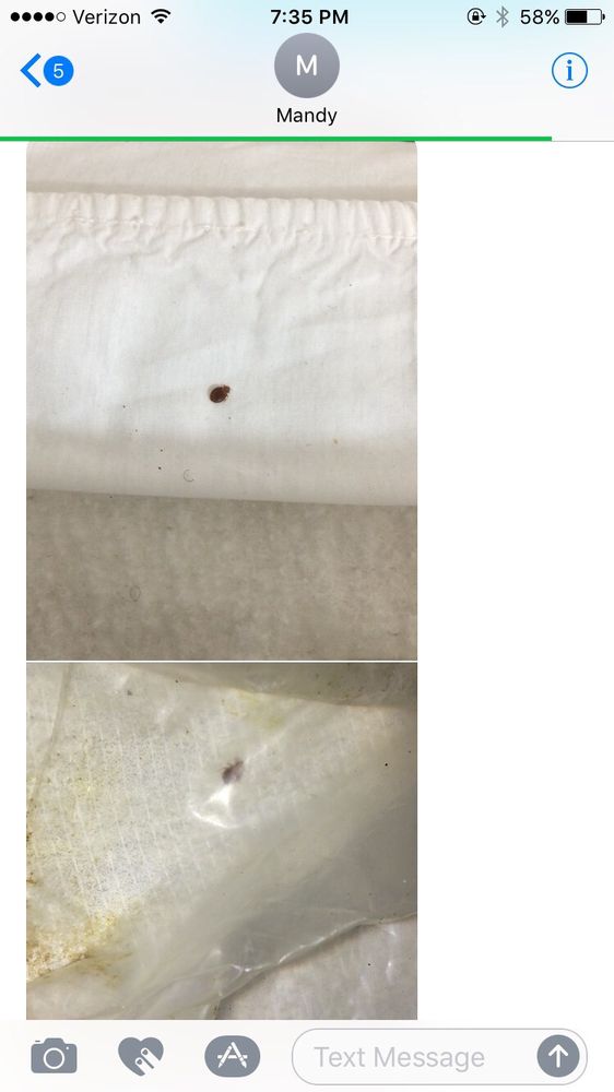 NEWTON’S MOTEL Updated September 2024 436 Cambridge St