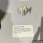 Photo of Real Bodies