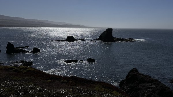 Pigeon Point Light Station State Historic Park by null