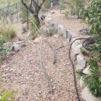 Wild West General Services - a garden with rocks and plants - Handyman Near Me Wild West General Services - a garden with rocks and plants - Handyman Near Me