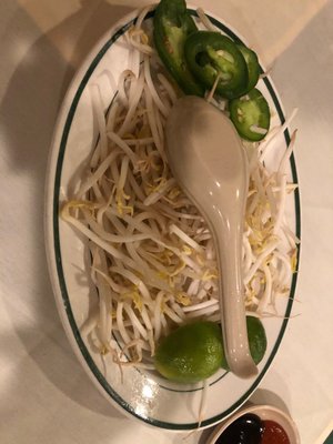 chinese food central ave albany ny