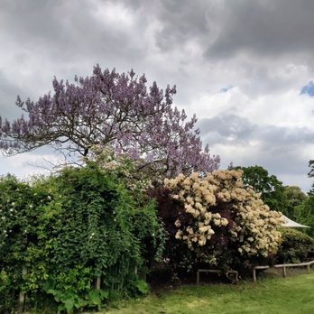 Kensington Gardens - Parks Near Me - London, XGL Kensington Gardens - Parks Near Me - London, XGL