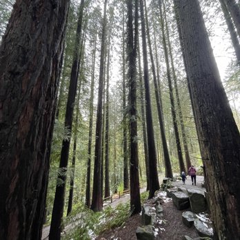 Hoyt Arboretum - Botanical Gardens Near Me - Portland, Oregon