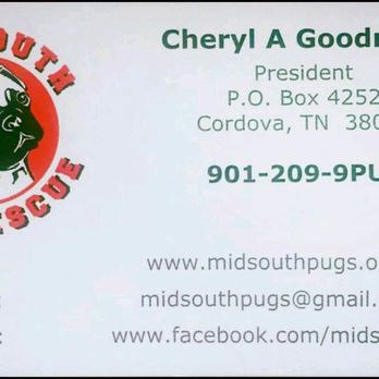 MidSouth Pug Rescue - Pet Adoption Near Me MidSouth Pug Rescue - Pet Adoption Near Me