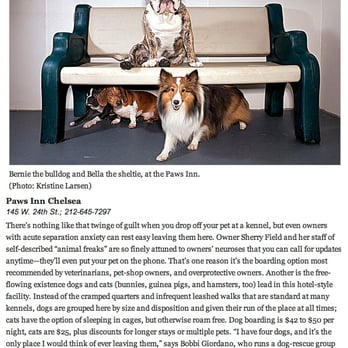 Paws In Chelsea - Pet Groomers Near Me - New York, New York Paws In Chelsea - Pet Groomers Near Me - New York, New York