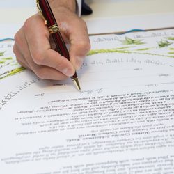 My Ketubah Art Studios