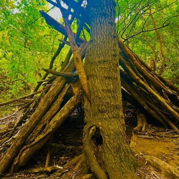 Chain O' Lakes - Wood teepee - Parks Near Me - Albion, Indiana