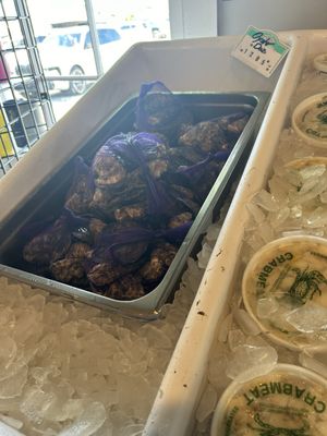 Motts Channel Seafood by null