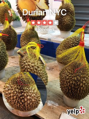 Durian NYC by null