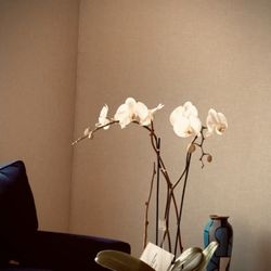 Greenwich Blooms Florist