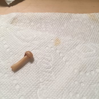 Wild Ginger - Yea, they threw in about 100 of these bad boys (all 100% identical in texture, shape and size = canned) swimming in goo. Not Shiitake - Asian Fusion Near Me - Brooklyn, New York